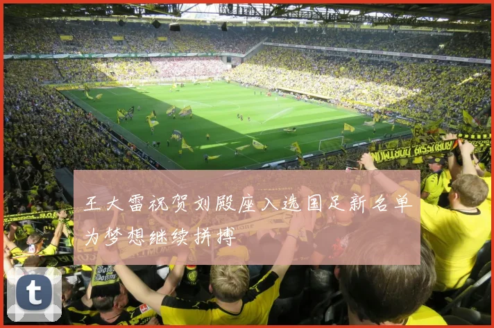 王大雷祝贺刘殿座入选国足新名单为梦想继续拼搏